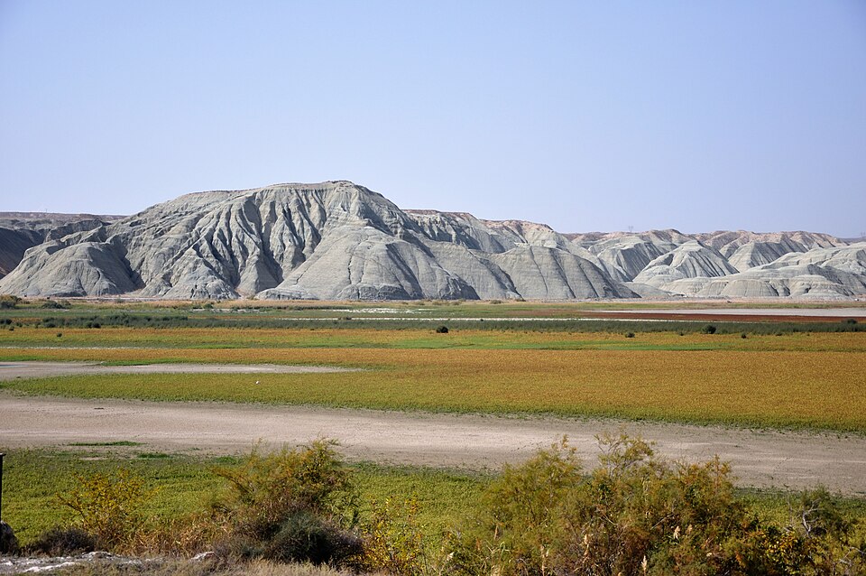 Nallıhan Kuş Cenneti
